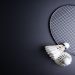 badminton world championship